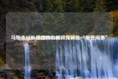 马斯克站队德国极右翼政党被批“爱管闲事”