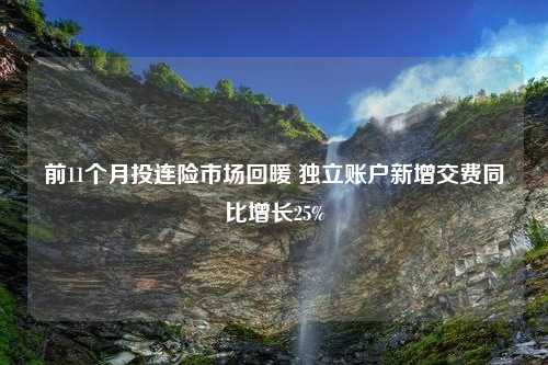 前11个月投连险市场回暖 独立账户新增交费同比增长25%