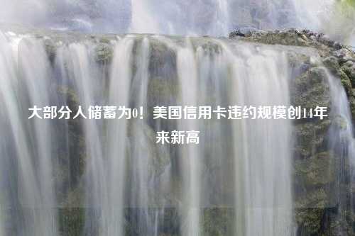 大部分人储蓄为0！美国信用卡违约规模创14年来新高