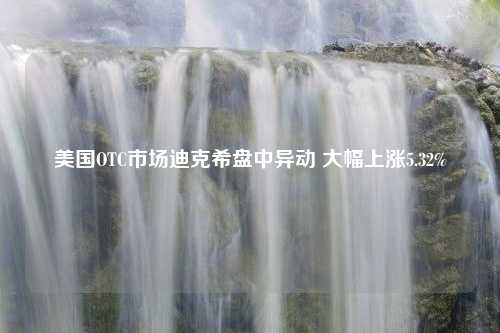 美国OTC市场迪克希盘中异动 大幅上涨5.32%