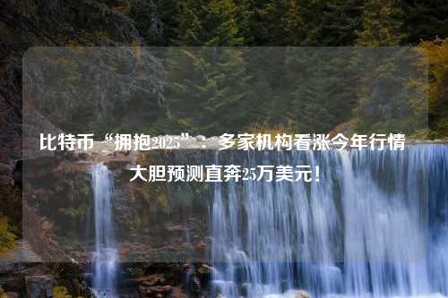 比特币“拥抱2025”：多家机构看涨今年行情 大胆预测直奔25万美元！