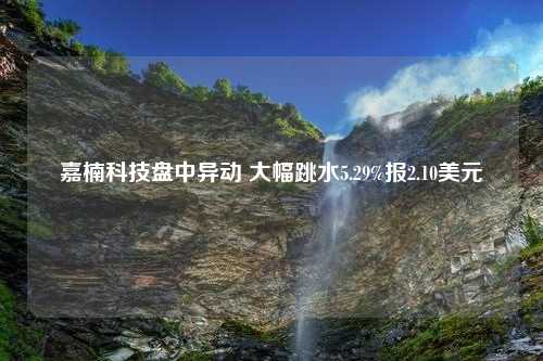 嘉楠科技盘中异动 大幅跳水5.29%报2.10美元