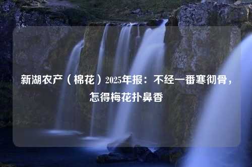 新湖农产（棉花）2025年报：不经一番寒彻骨，怎得梅花扑鼻香