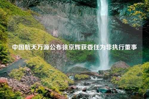 中国航天万源公布徐京辉获委任为非执行董事