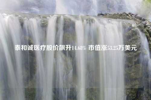 泰和诚医疗股价飙升14.68% 市值涨53.25万美元